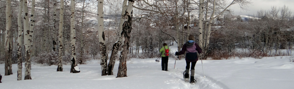 top 10 snowshoeing spots uncategorized