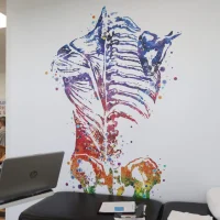 Physical Therapy & Spine 2024