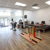 Physical Therapy & Spine 2024